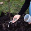 Jak efektywnie spulchnić glebę w ogrodzie - metody ręczne i maszynowe