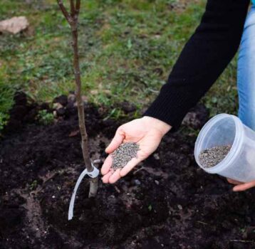 Jak efektywnie spulchnić glebę w ogrodzie - metody ręczne i maszynowe
